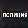 Пушкино: девушка покусала двух полицейских