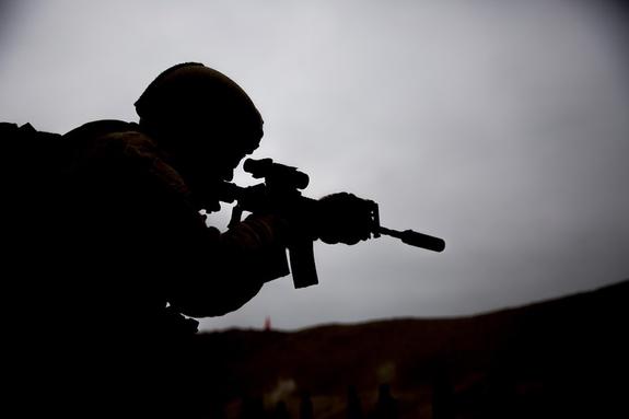 В СМИ объяснили, почему США не должны создавать военную базу у российских границ