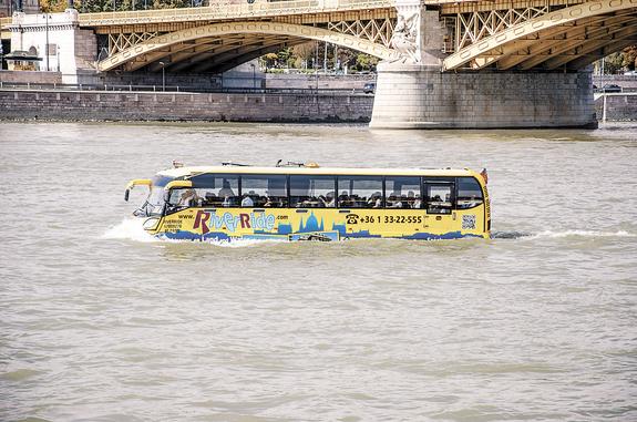 С воды на сушу и обратно