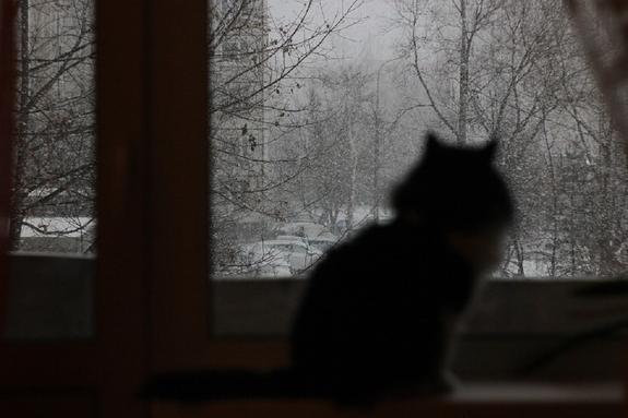 Синоптики озвучили прогноз погоды на грядущую неделю