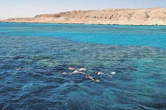 Жестокое Красное море