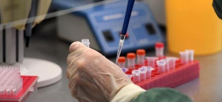 Немецкие ученые рассказали, у кого может быть иммунитет к коронавирусу