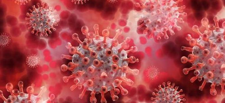 Эпидемиолог Наталья Пшеничная: Пандемия коронавируса может закончиться через полгода, при пессимистичном сценарии — через год