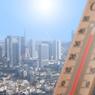 «Бабье лето» пришло в Москву раньше времени