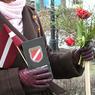 Новое слово в латвийской экономике - Паздера