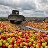 Поляки поняли, что России не нужна их еда
