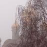 В конце недели в Москву вернется холод