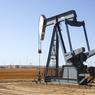 В России не спешат "слезать с нефтяной иглы"