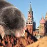 Американский крот