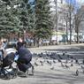 Город поможет с жильем