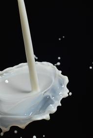 Бум грудного молока в КНР, таможня задерживает перевозчиков