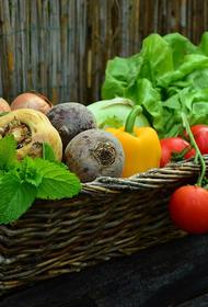 Диетолог назвала продукты, сжигающие жир
