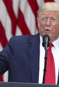 Помощник Трампа: американская экономика начала восстанавливаться после пандемии COVID-19