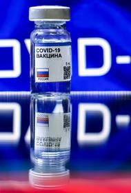 Медики выражают сомнения в готовности вакцины. «Ковид - это не медицинская, а политическая история»