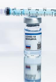 В Минздраве сообщили, когда может начаться массовая вакцинация от COVID-19 в России
