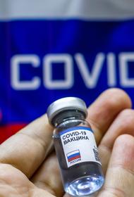 «Вектор» планирует начать производство вакцины от COVID-19 осенью