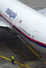 Независимый эксперт озвучил возможную настоящую причину уничтожения Boeing MH17