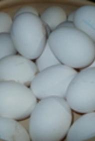 Врач-диетолог посоветовал полезные для здоровья человека жирные продукты