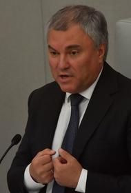 Вячеслав Володин дал поручение комитету Госдумы проанализировать ситуацию с Алексеем Навальным