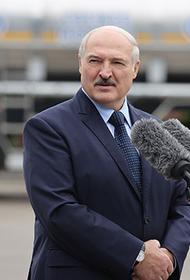 помощник бел