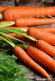 Диетолог Андерссон рассказала о дешевых и полезных для организма продуктах