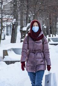 Эпидемиолог Пшеничная оценила вероятность возникновения третьей волны COVID-19 в России