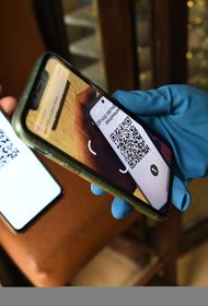 Сенатор Владимир Круглый допустил возможность выдачи QR-кодов переболевшим COVID-19 с высоким титром антител