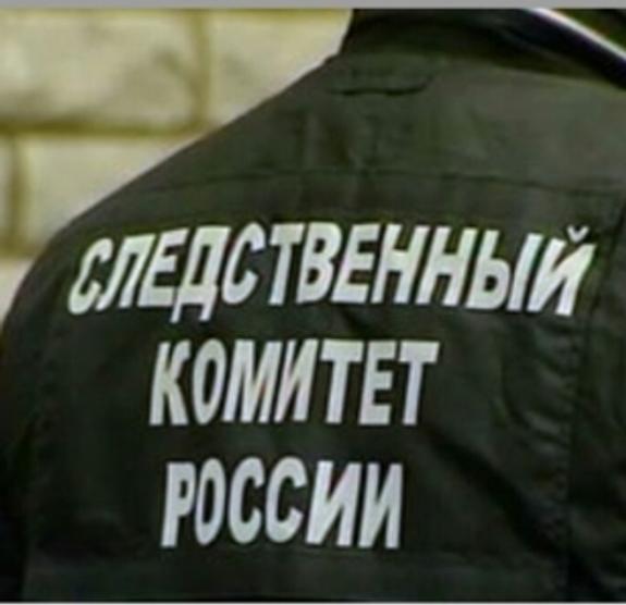 СК: В Подмосковье девушка избила и покусала полицейского