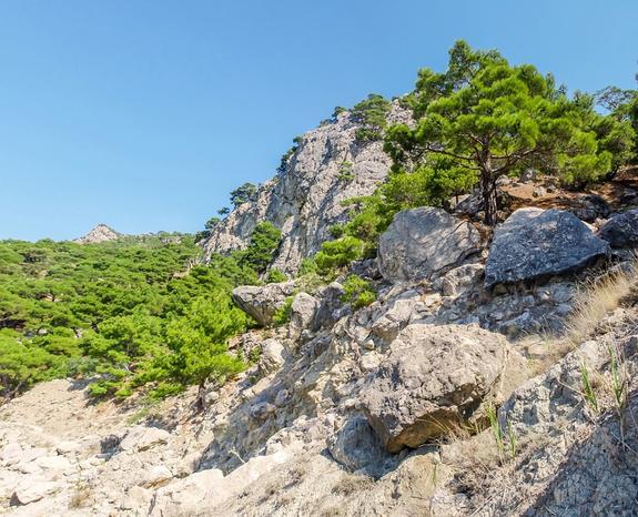 В Крыму продолжается осенний туристопад