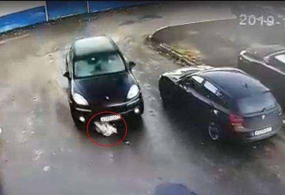 В Петербурге директор автосервиса сбил на "Порше Кайен" девушку и протащил по дороге