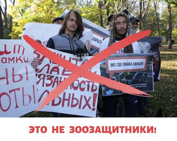 Вместо акции зоозащитников в Краснодаре получили провокацию