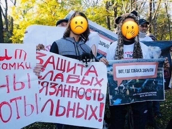Зоозащитников пытаются втянуть в скандал в Краснодаре