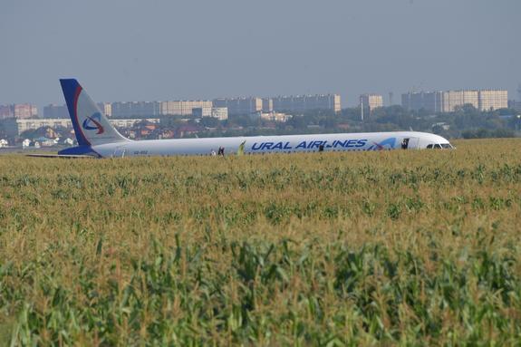 Пилоты, посадившие самолет в кукурузном поле, получат завтра звезды Героев России