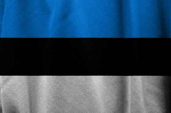 В Эстонии проводят масштабные учения кибервойска НАТО