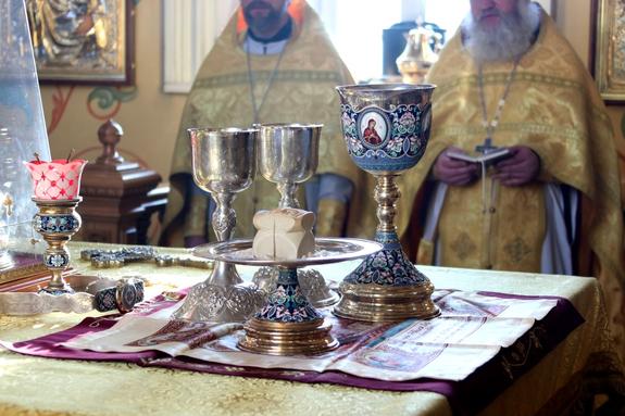 Девочку с большим родимым пятном, которую отказался крестить священник в Кургане, крестили