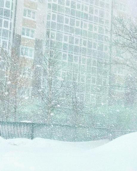 В Новом Уренгое 7-летняя девочка с котом выпала из окна 9 этажа и осталась жива и здорова
