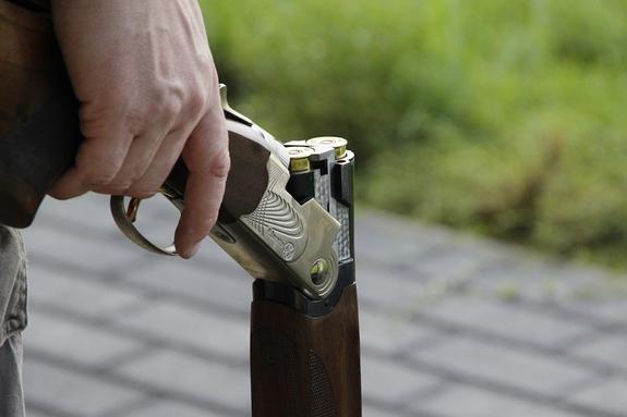 Петербуржец задержан за стрельбу из ружья в сторону жены и дочери