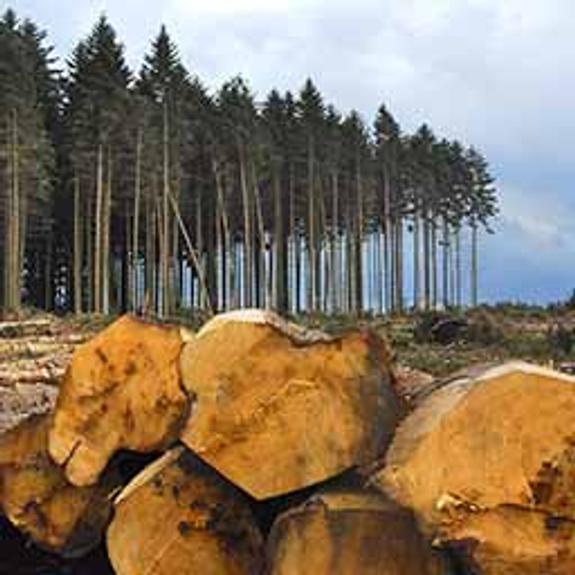 Неразделимые и бесценные ресурсы Иркутской области