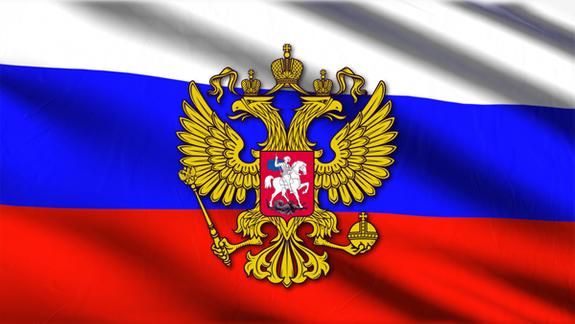 У болельщиков сборной РФ перед матчем со Словакией отбирали флаги