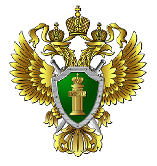 Спецслужбы в Петербурге могли допустить ошибки, СКР проводит расследование