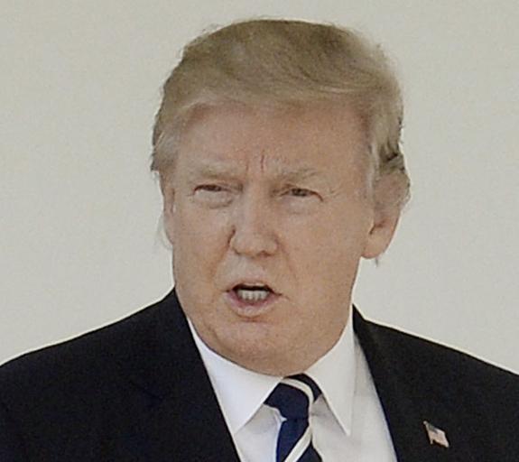 Путин и Трамп в ходе телефонной беседы обсудили борьбу с терроризмом
