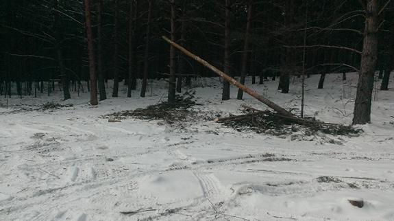 «И нет нам покоя, гори, но живи!..»