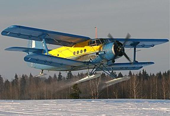 Экипаж потерпевшего крушение Ан-2 в последний момент увел самолет от зрителей