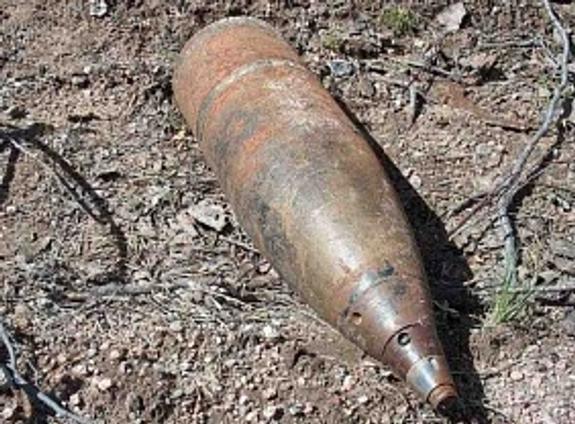 На Южном Урале собака откопала артиллерийский снаряд