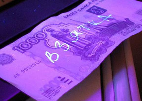 Презумпция виновности