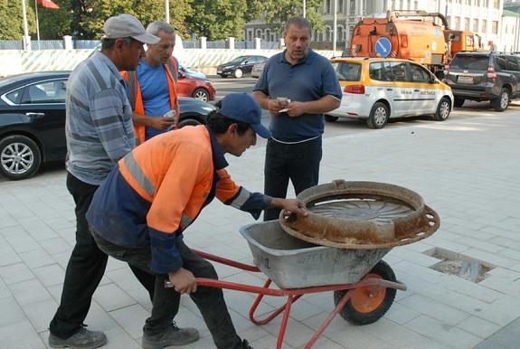 Жители Петербурга опасаются тараканов и ухудшения криминальной обстановки