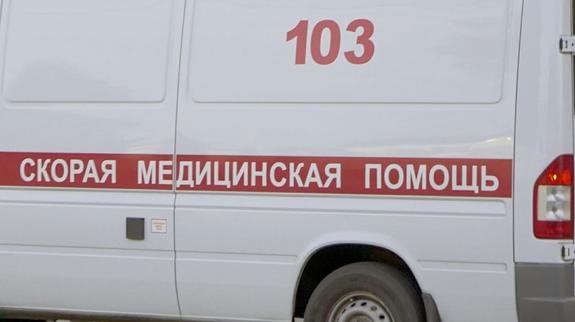 Бродячие собаки напали на девятилетнего мальчика в Иваново