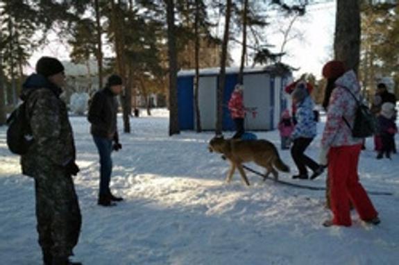 Житель Челябинска возмущает горожан прогулками в парке с волком
