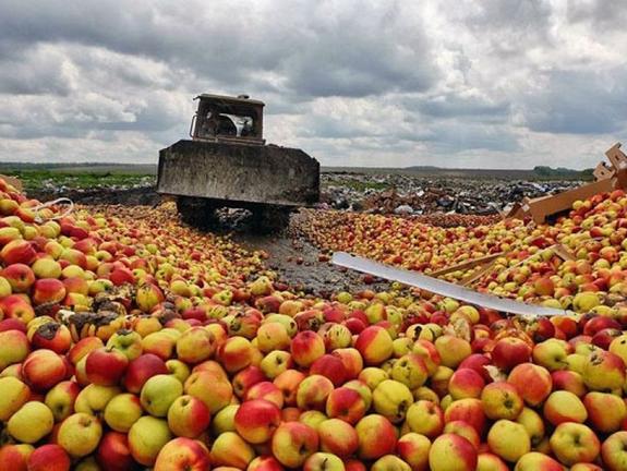 Поляки поняли, что России не нужна их еда