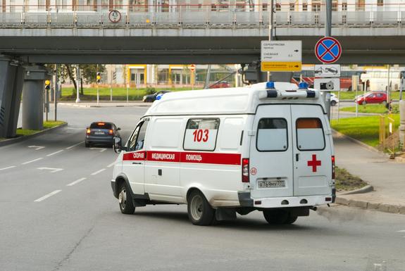 Третьеклассники отравились приманкой для грызунов в школе под Мурманском